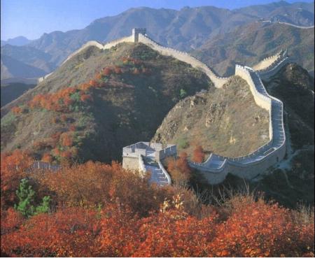 mure de chine